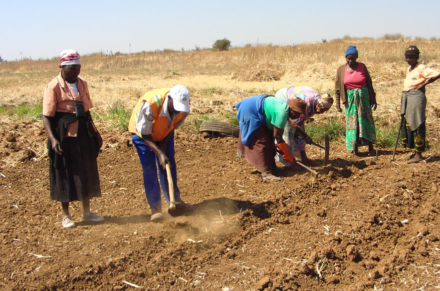 Bulawayo community garden