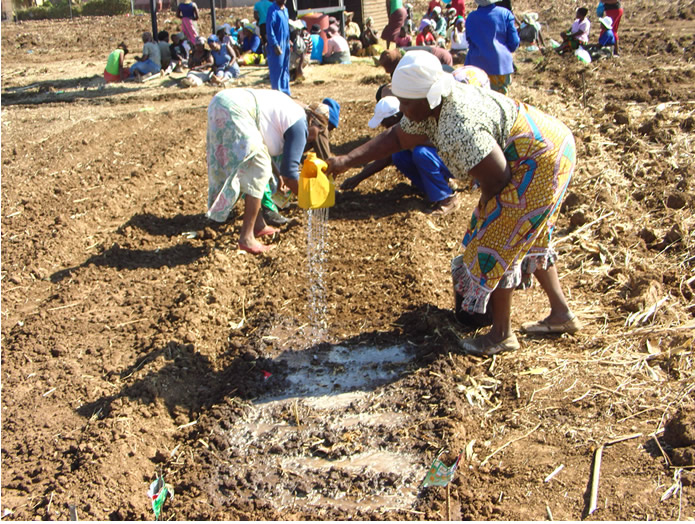 Bulawayo community garden