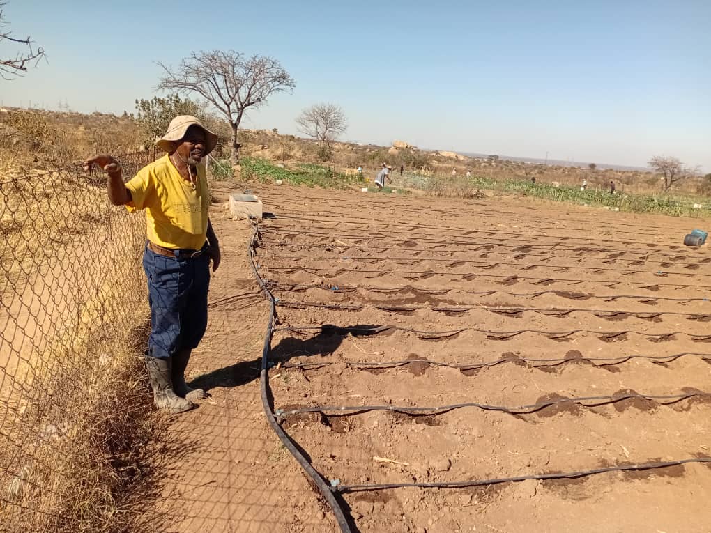 Kirimuva garden members breaking dry soil ahead of the rainy season