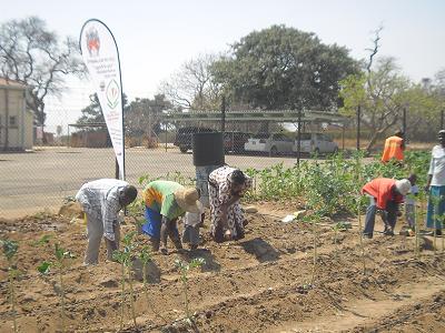 Bulawayo CBD Garden