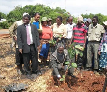 bulawayo deputy mayor