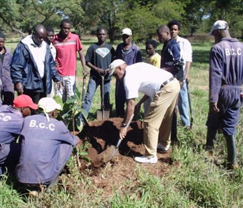 bulawayo tree planting